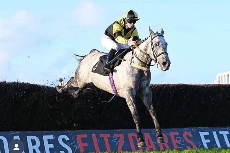 A Joe Tickle Racing horse jumping a fence